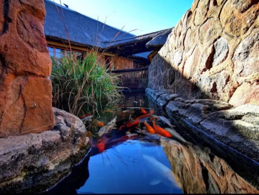  Bedroom Property for Sale in Mookgopong Limpopo