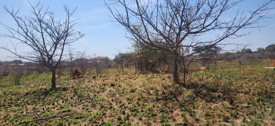 Commercial Property for Sale in Bendor Ext 17 Limpopo