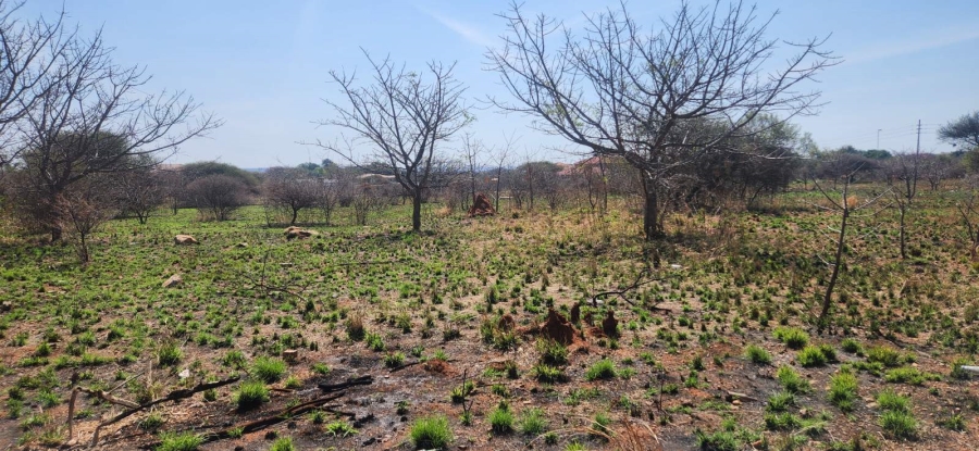 Commercial Property for Sale in Bendor Ext 17 Limpopo