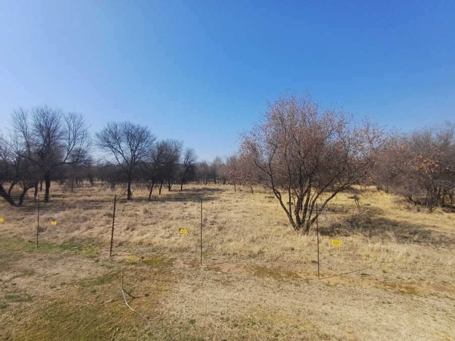 Commercial Property for Sale in Thabazimbi Rural Limpopo