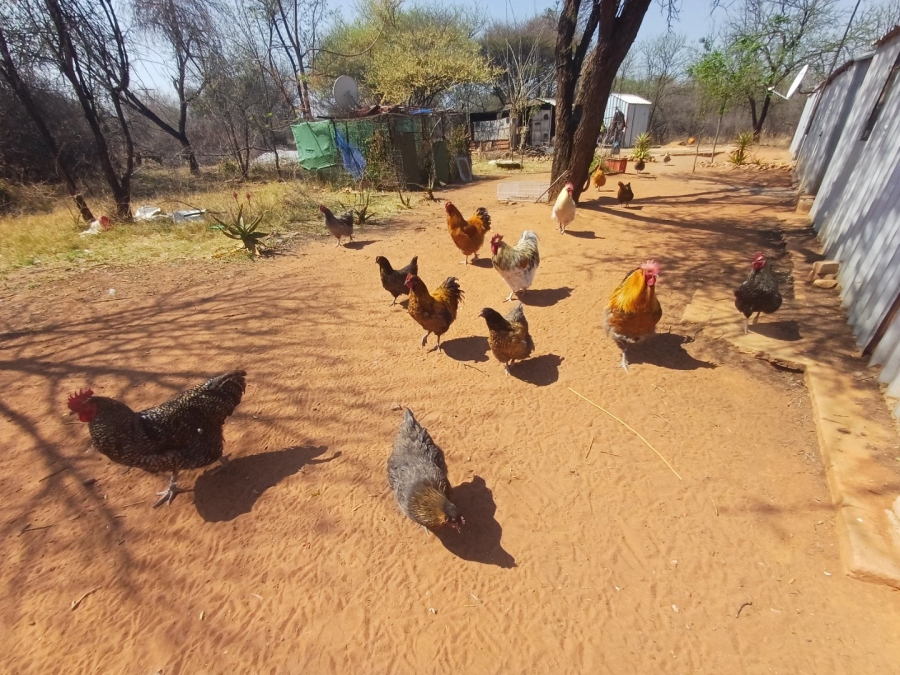 Commercial Property for Sale in Thabazimbi Rural Limpopo