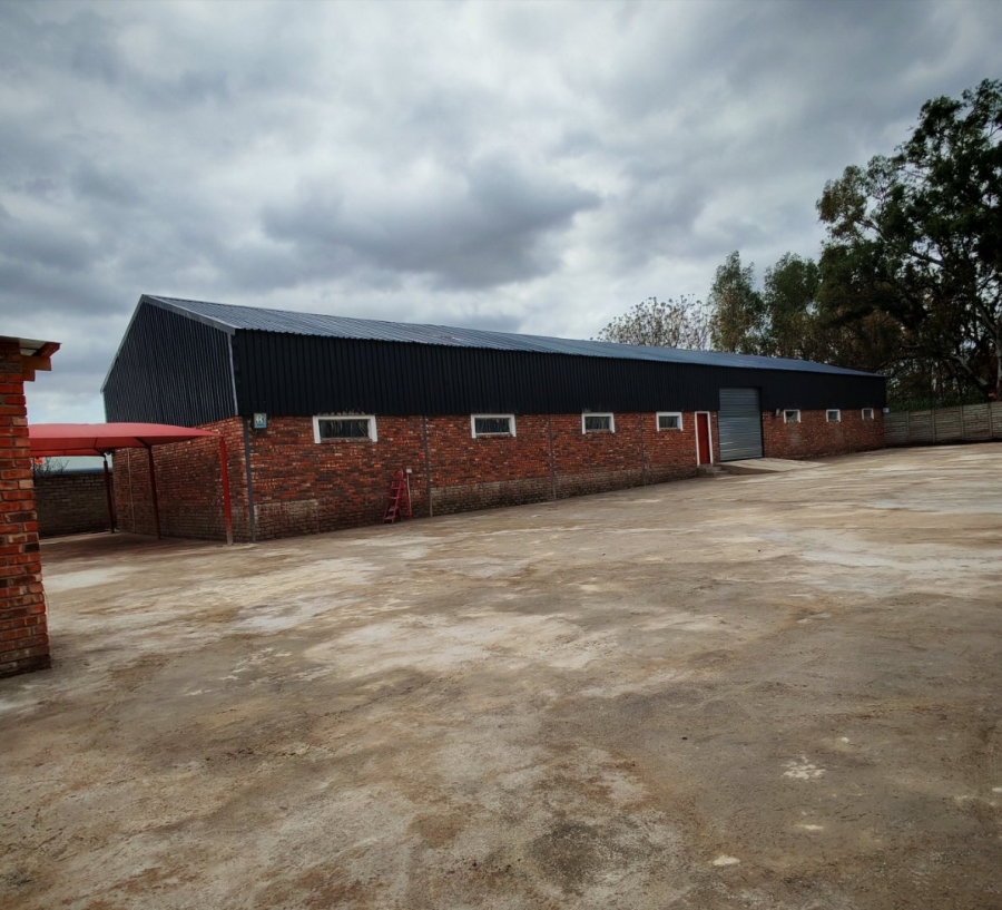 To Let Commercial Property for Rent in Ladine Limpopo