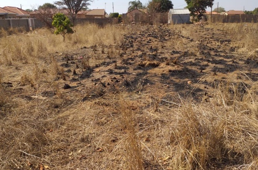  Bedroom Property for Sale in Dendron Limpopo
