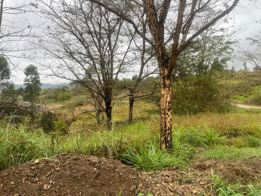 Commercial Property for Sale in Premierpark Limpopo