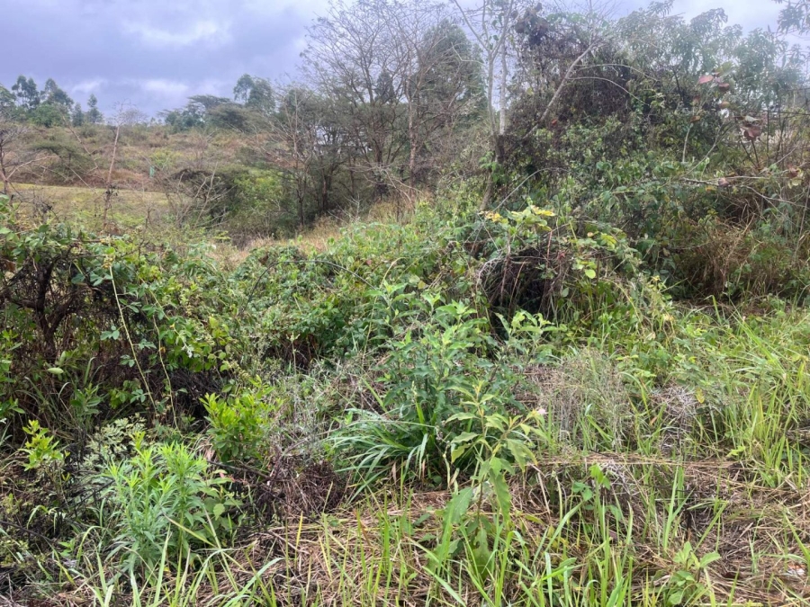Commercial Property for Sale in Premierpark Limpopo