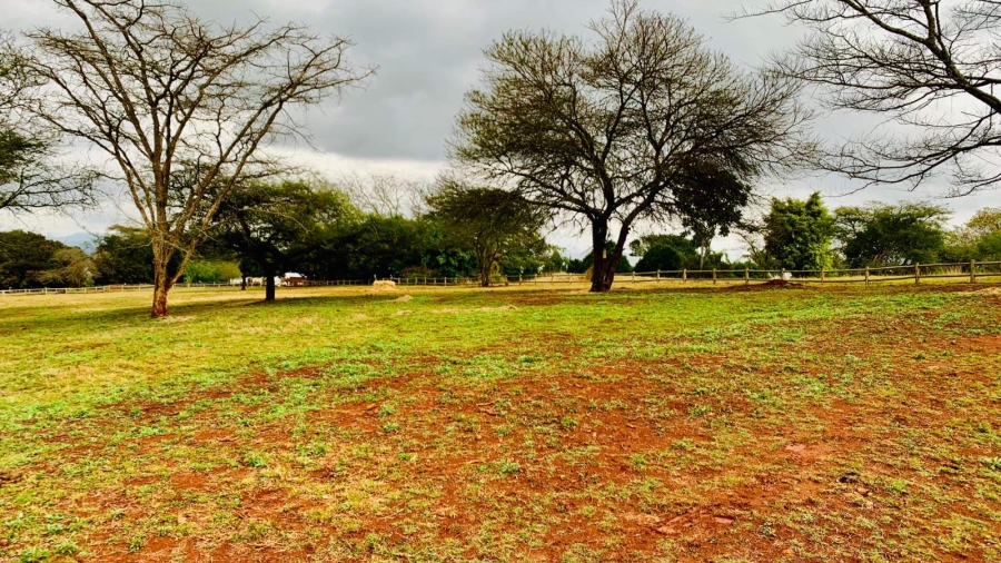 Commercial Property for Sale in Doornhoek Equestrian Estate Limpopo