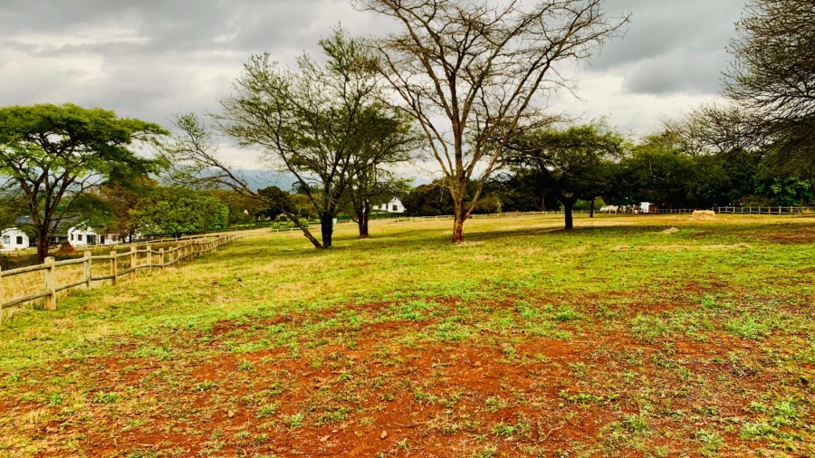 Commercial Property for Sale in Doornhoek Equestrian Estate Limpopo