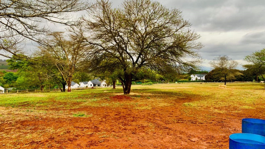 Commercial Property for Sale in Doornhoek Equestrian Estate Limpopo