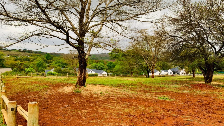 Commercial Property for Sale in Doornhoek Equestrian Estate Limpopo