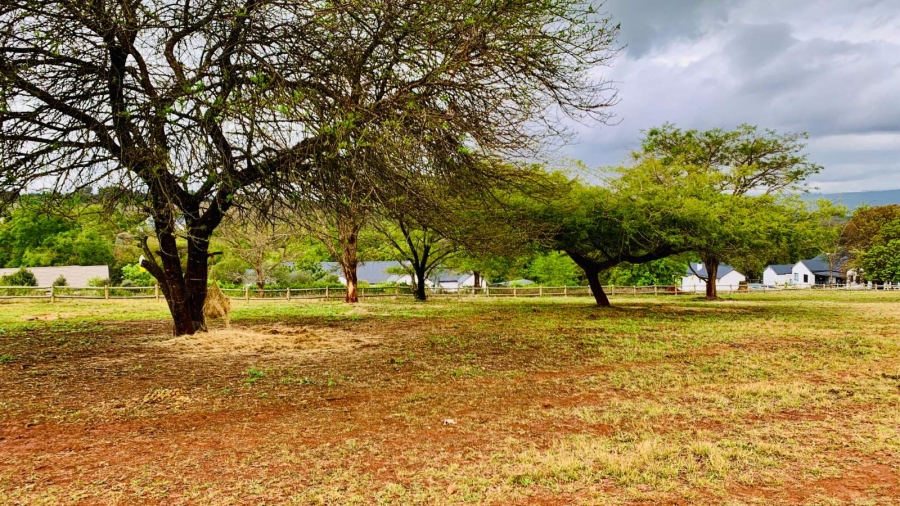 Commercial Property for Sale in Doornhoek Equestrian Estate Limpopo