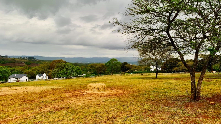 Commercial Property for Sale in Doornhoek Equestrian Estate Limpopo
