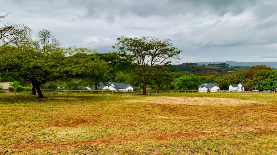 Commercial Property for Sale in Doornhoek Equestrian Estate Limpopo