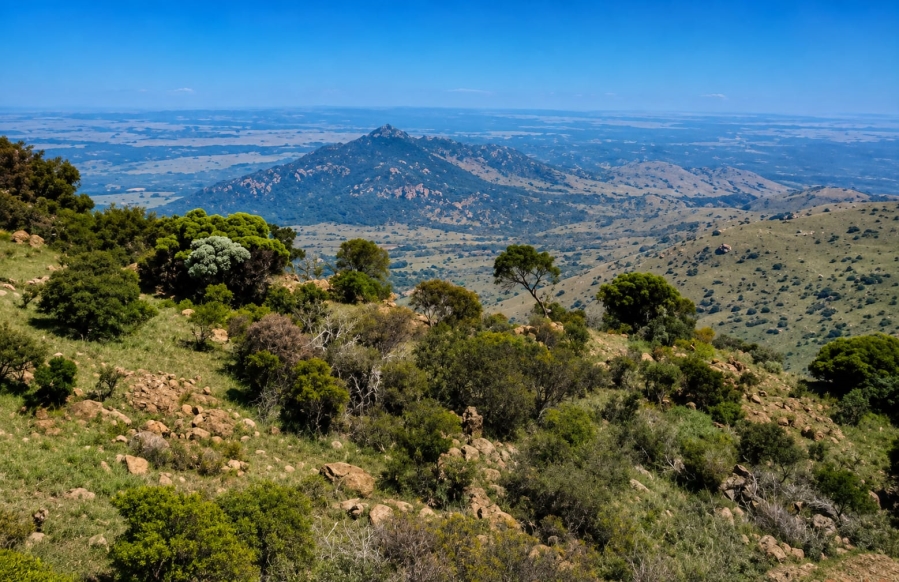 Commercial Property for Sale in Groblersdal Rural Limpopo