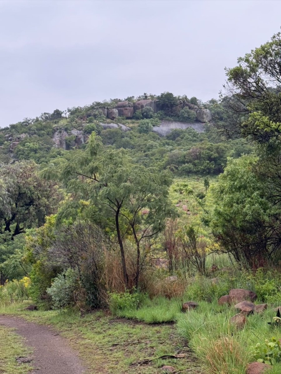 Commercial Property for Sale in Groblersdal Rural Limpopo