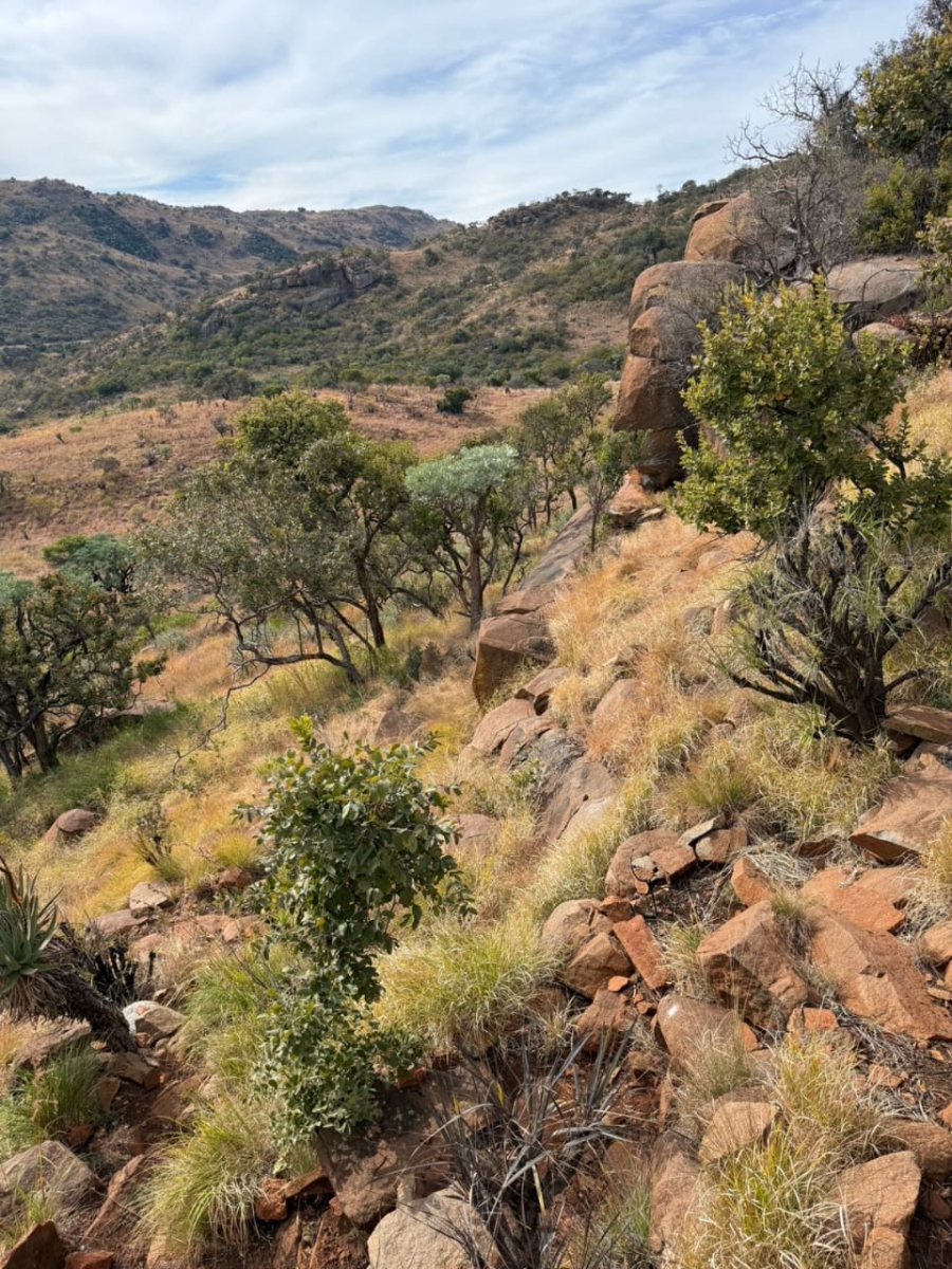 Commercial Property for Sale in Groblersdal Rural Limpopo