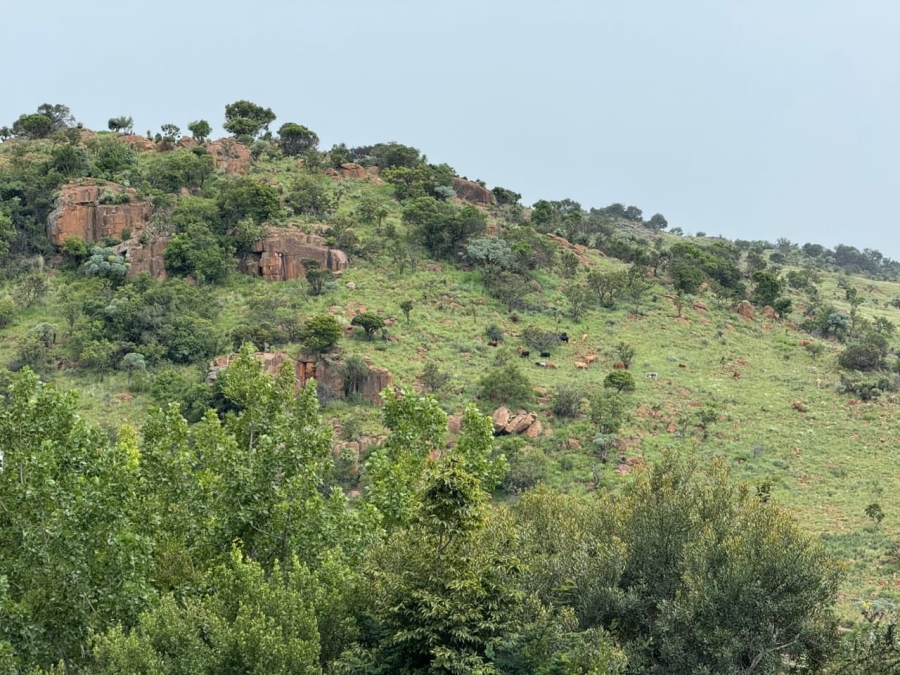 Commercial Property for Sale in Groblersdal Rural Limpopo