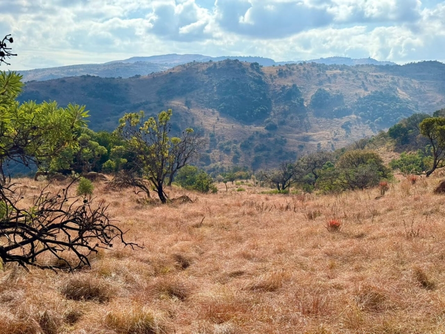 Commercial Property for Sale in Groblersdal Rural Limpopo