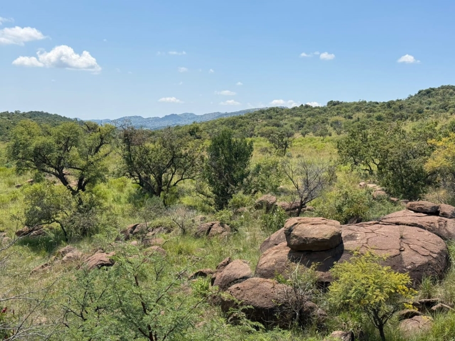 Commercial Property for Sale in Groblersdal Rural Limpopo