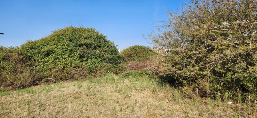 Commercial Property for Sale in Thornhill Limpopo