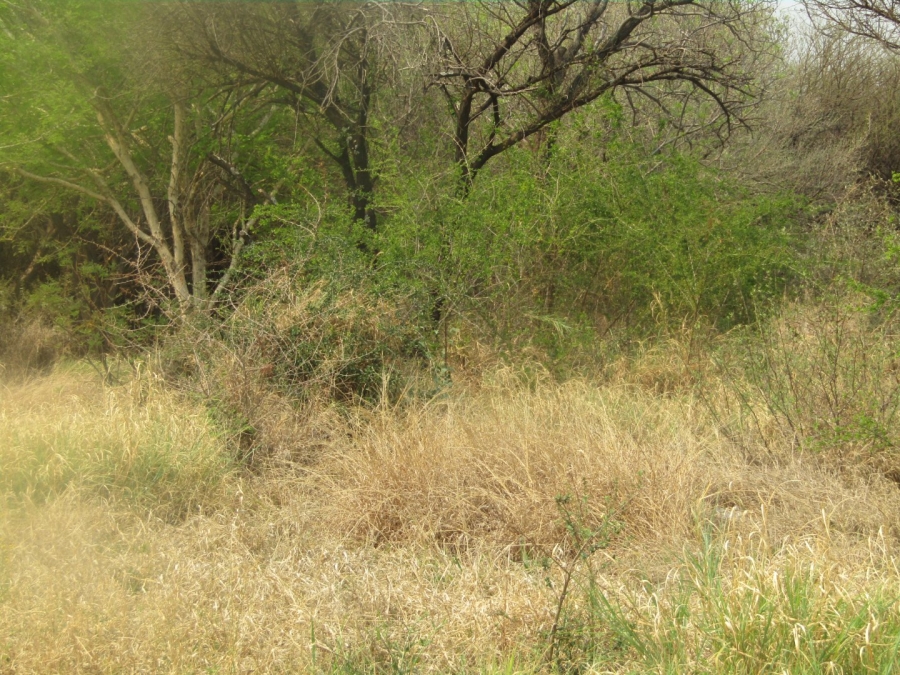 Commercial Property for Sale in Thabazimbi Limpopo