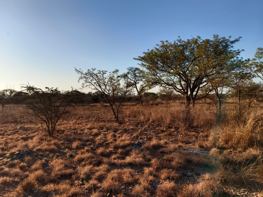Commercial Property for Sale in Bendor Limpopo