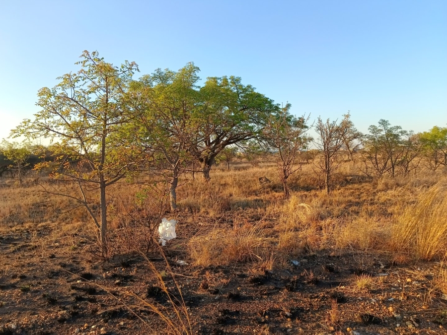 Commercial Property for Sale in Bendor Limpopo