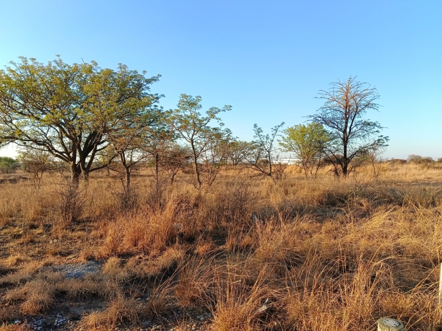 Commercial Property for Sale in Bendor Limpopo
