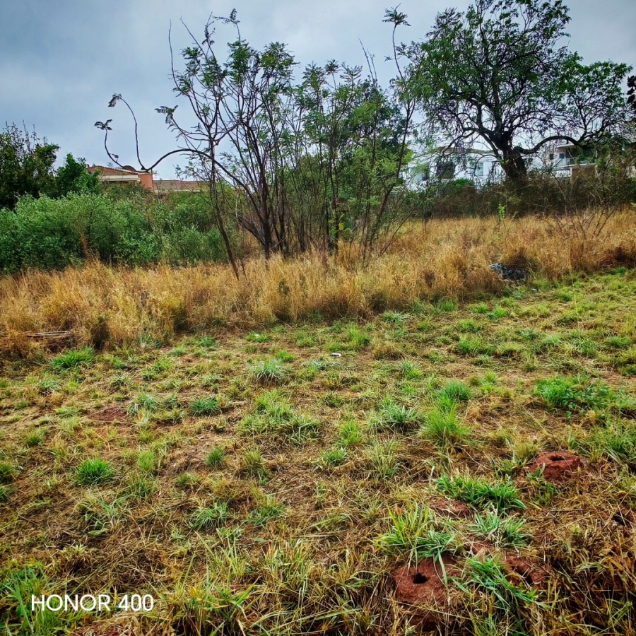 Commercial Property for Sale in Sterpark Limpopo