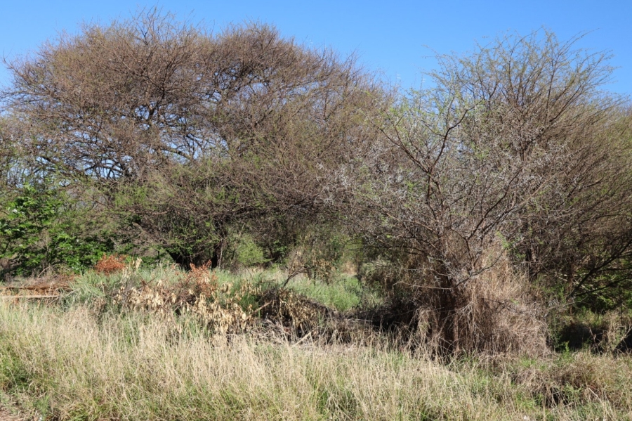 Commercial Property for Sale in Thabazimbi Limpopo