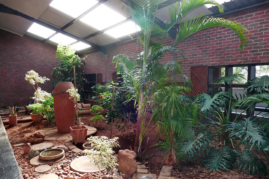 3 Bedroom Property for Sale in Bendor Limpopo
