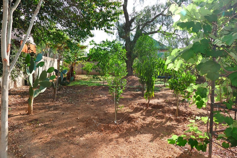 3 Bedroom Property for Sale in Bendor Limpopo