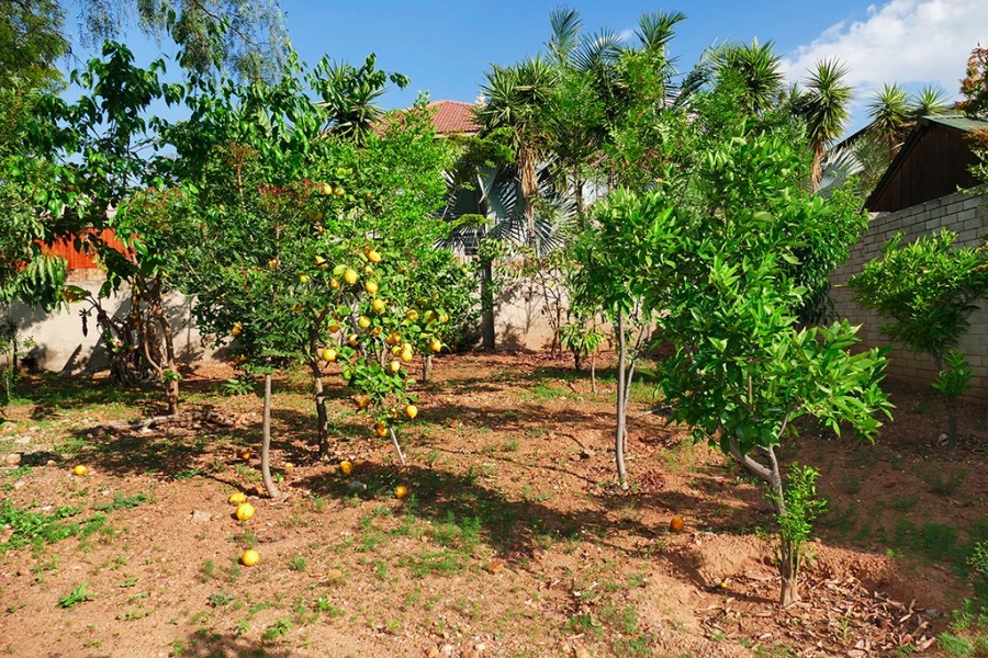 3 Bedroom Property for Sale in Bendor Limpopo