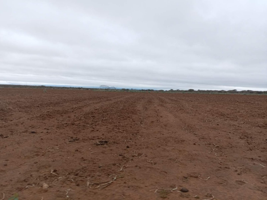 Commercial Property for Sale in Dendron Limpopo