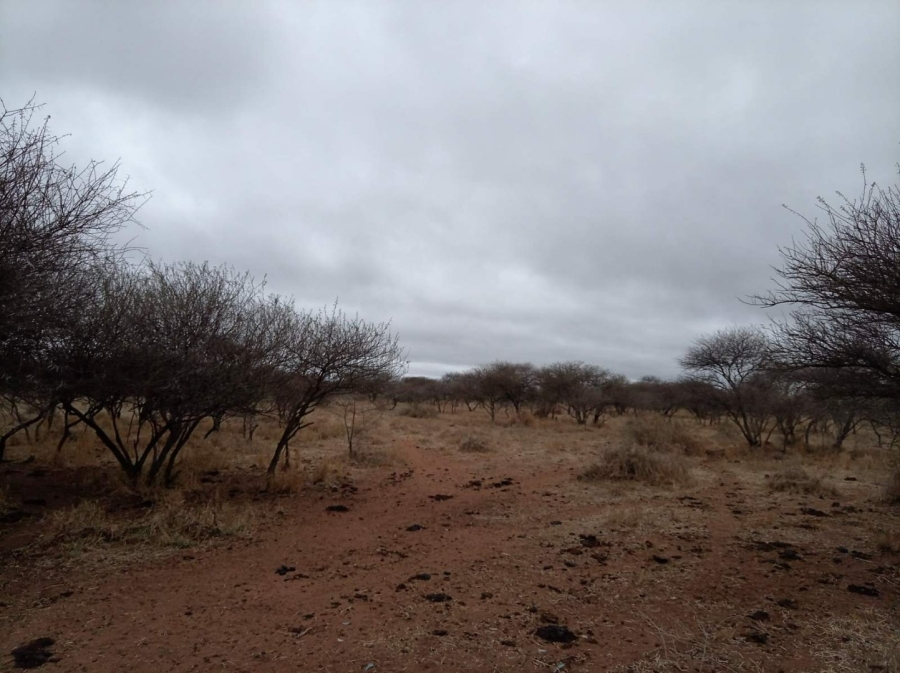 Commercial Property for Sale in Dendron Limpopo