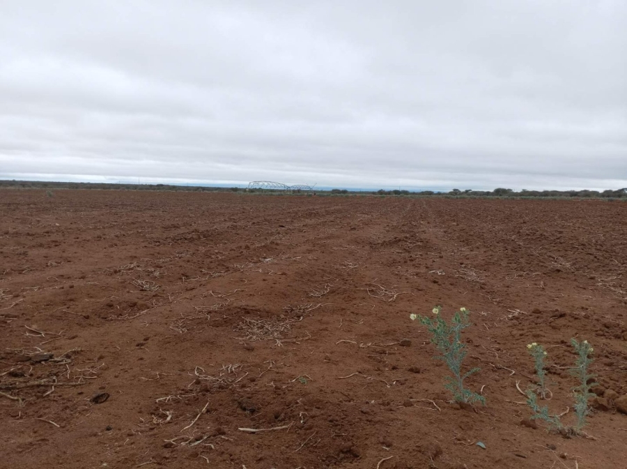 Commercial Property for Sale in Dendron Limpopo