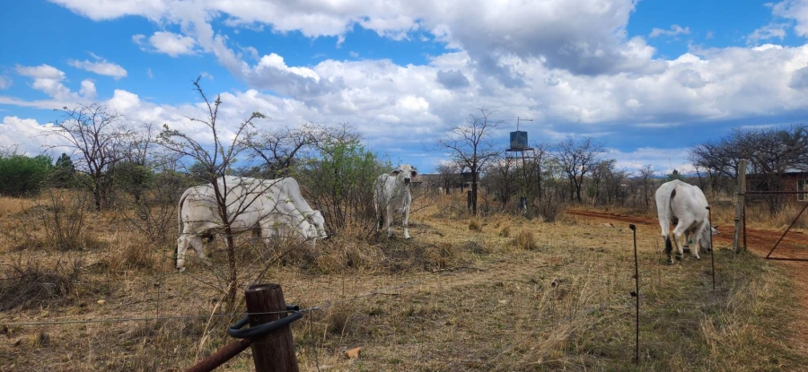 Commercial Property for Sale in Wildebeestfontein A H Limpopo