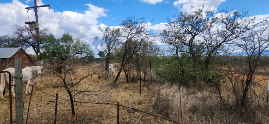 Commercial Property for Sale in Wildebeestfontein A H Limpopo