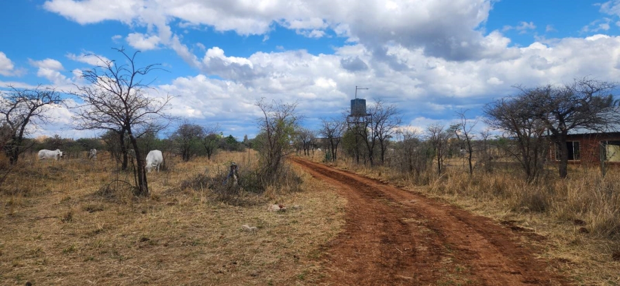 Commercial Property for Sale in Wildebeestfontein A H Limpopo