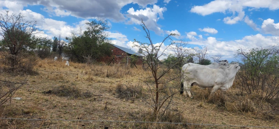 Commercial Property for Sale in Wildebeestfontein A H Limpopo