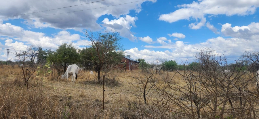 Commercial Property for Sale in Wildebeestfontein A H Limpopo