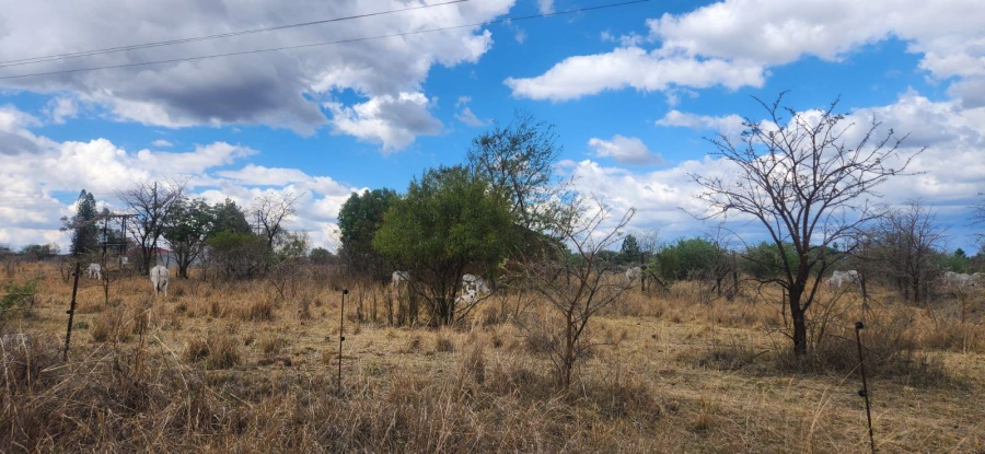 Commercial Property for Sale in Wildebeestfontein A H Limpopo