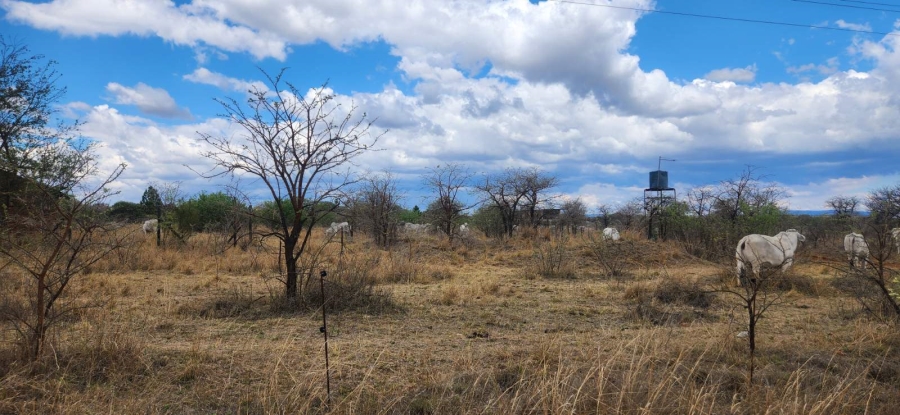 Commercial Property for Sale in Wildebeestfontein A H Limpopo