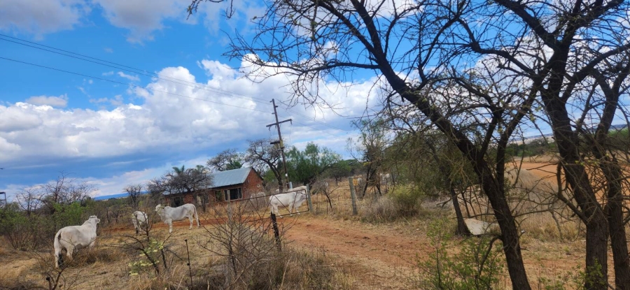 Commercial Property for Sale in Wildebeestfontein A H Limpopo