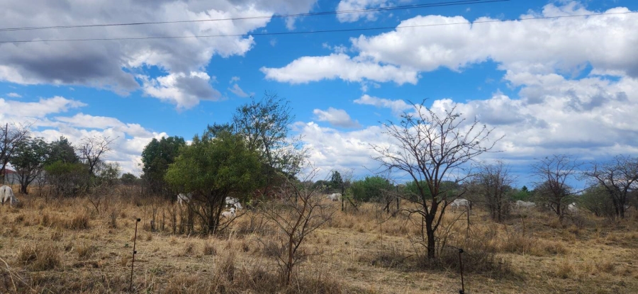 Commercial Property for Sale in Wildebeestfontein A H Limpopo