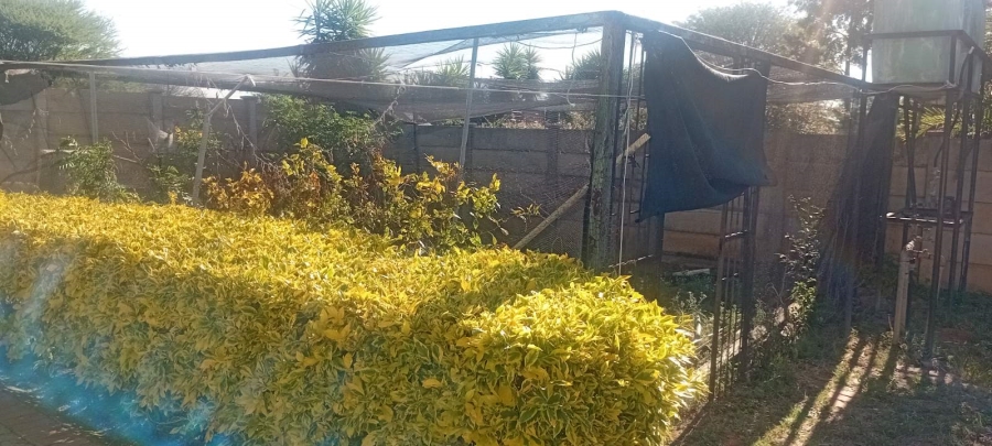 To Let 3 Bedroom Property for Rent in Flora Park Limpopo