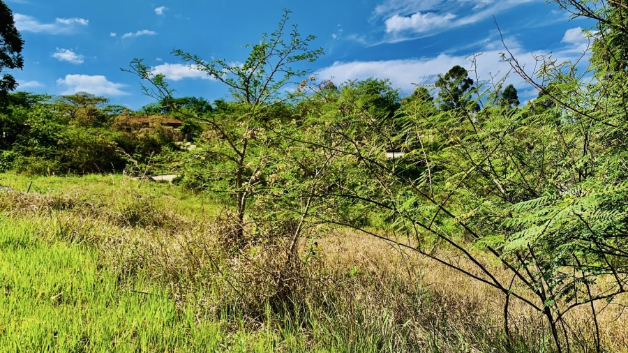 Commercial Property for Sale in Premierpark Limpopo