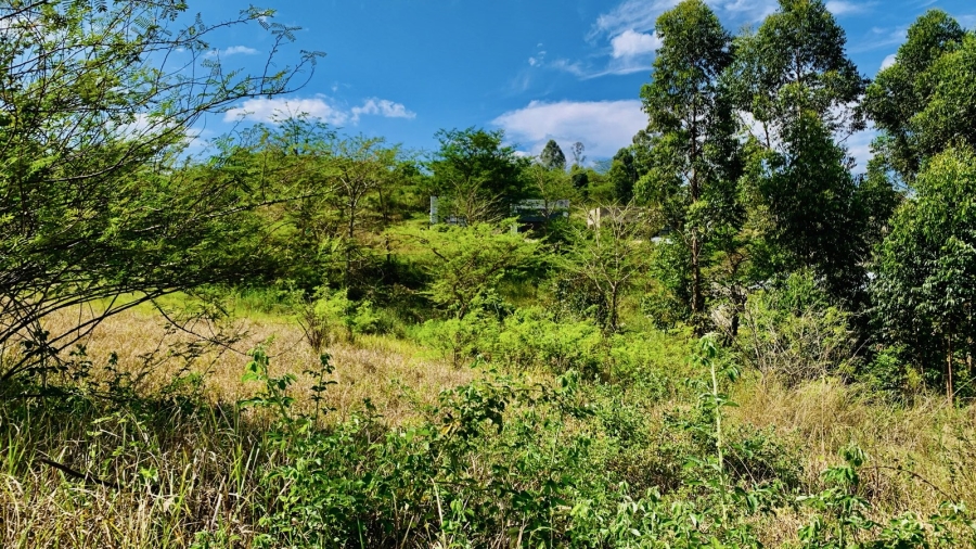 Commercial Property for Sale in Premierpark Limpopo