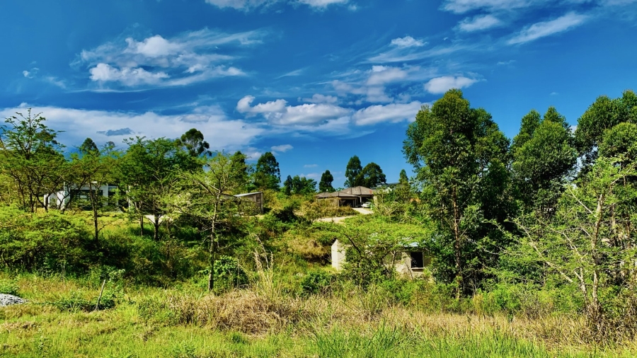Commercial Property for Sale in Premierpark Limpopo