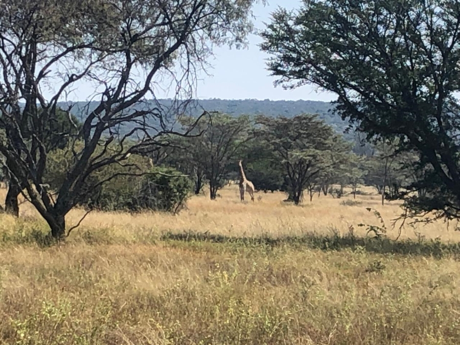 Commercial Property for Sale in Modimolle Rural Limpopo