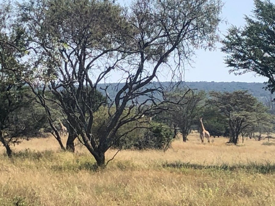 Commercial Property for Sale in Modimolle Rural Limpopo